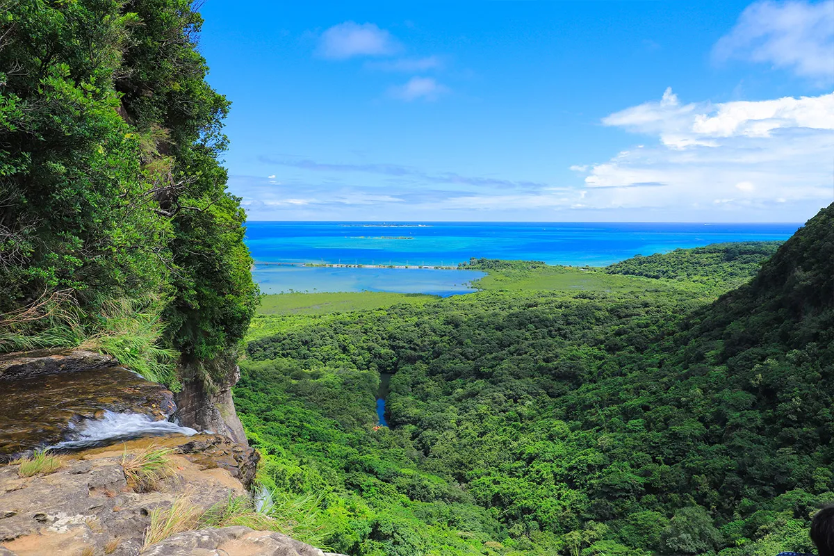 西表島