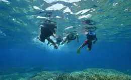 自選旅遊指南